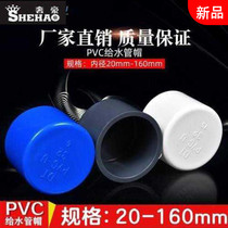 PVC to water pipe cap Tube Choke Plug 20 20 25 25 40 40 50 50 75 75 90110160