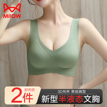 Cat person lingerie woman No steel ring Summer thin breast slim breasted with anti-sagging adjustment No-mark movement Beauty back bra cover
