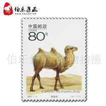 寄信邮票 寄明信片 面值80分  动物 野骆驼 图案 邮票