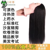 Real person head mold wig model head mold braid hair hair shape comb head straight hair female model special bracket hairstyle