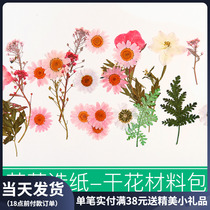Embossing Diy Ancient Fapaperwork Dry Flowers Material Packs Children Handmade Flower And Grass Paper Bookmarks Genuine Flower Plant Specimens