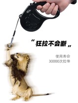 Automatic Traction Rope Telescopic Teddy Dogs Large Small Dogs Walking Dog Rope Kinhair Dog Chain Subpet Supplies Collar