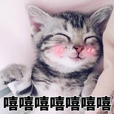 特别好，很舒适，他一眼就来了兴趣，抓住我的手把我压倒在了床上，用珠子摩擦，我控制不住的从黑森林里流出了热液，然后他就用他的大肉棒和珠子混合在一起舔着我的珠珠，然后猛的一插，我们都控制不住的叫了出来，然后嘿嘿嘿棒棒棒特别好，很舒适，他一眼就来了兴趣，抓住我的手把我压倒在了床上，用珠子摩擦，我控制不住的从黑森林里流出了热液，然后他就用他的大肉棒和珠子混合在一起舔着我的珠珠，然后猛的一插，我们都控制不住的叫了出来，然后嘿嘿嘿棒棒棒