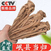  Gansu Minxian Angelica 500g grams with wild premium Chinese herbal medicine Astragalus Dangshen combination tea Qi and blood whole root