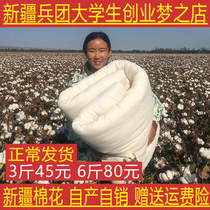 Mattress quilt 100% winter quilt core cotton cotton quilt New Xinjiang warm high-quality plush cotton wool double thickening