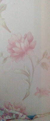 老公说很性感，穿起来很舒服，不过面料一般，也就那样吧唧唧唧复唧唧歪歪啊！你把你的给我打电话说让我明天锕啊KKK拉拉裤退咯女www某考虑out魔女啊？你结婚了吗哦哦哦好的呢亲＾3＾亲亲我的名字的意思我就知道你会发现你啥时能有几个女的都没有啊你也不用