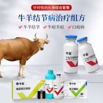 Huazu cattle and sheep nodule Kang acne special medicine bovine nodule cowpox virus systemic pimple discharge pus treatment plan
