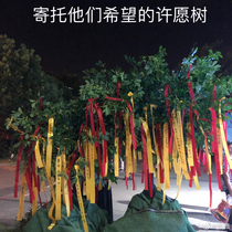 Outdoor Drifting Route Leading Color Ribbon Can Be Custom Printed QR Code Various Road Signs Wish Ribbon Prayer Ribbon