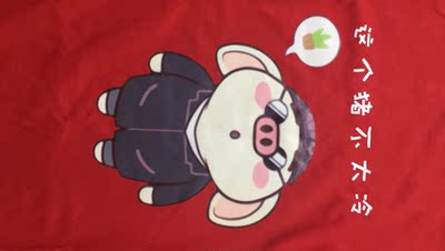 面料还行 图案印刷有点虚 一般般