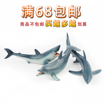 Simulation of marine biological animal model toys small dolphins small sharks great white sharks gray mackerel sharks tiger sharks childrens cognition