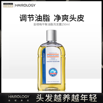 Silk domain Hair nourishing Witch Hazel Balanced Oil Shampoo Plant shampoo Silicone-free shampoo