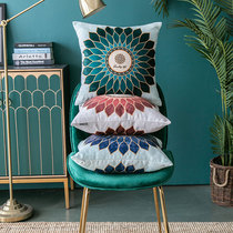 European modern pillow ins Light luxury multi-purpose pillow pillow Living room sofa cushion American bedside backrest pillow