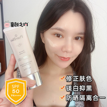 Japanese PureBio Medicinal Sunscreen Cream Anti-ultraviolet Waterproof Repair 50g Alcohol-free 50g