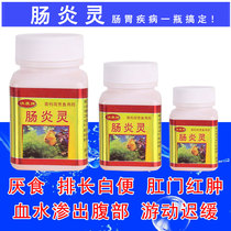 Ornamental fish Koi Rohan fish goldfish enteritis Medicine special enteritis fish medicine Changyanling Yankang rehabilitation agent