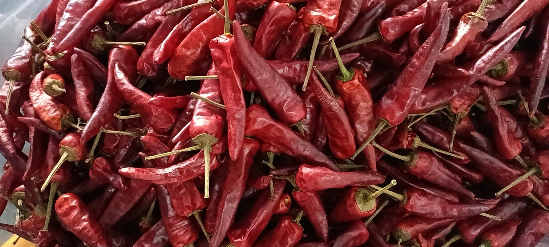 货很正宗,是正宗的福建辣椒王,看起来新鲜,给快递员呛的厉害.