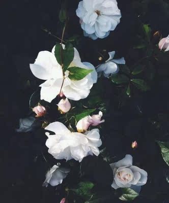 这款产品用起来很滋润，一点儿也不刺激，喜欢这个味道，淡淡的清香，温和不刺鼻。以前用过别家的都是用完以后那都是火辣辣的疼啊！只有这家反映算是比较不错的，微微的热热涨涨的感觉，但是自己也可以完全接受，而且按摩一会儿就没事儿了，效果挺不错的，主要没什么副作用，很开心