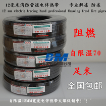 12MM flame retardant electric tropical tropical fire pipe thawing anti-freezing electric tropical tropical tropical heating zone foot meters