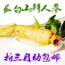 Changbai Mountain fresh ginseng Fresh bubble wine White ginseng Northeast Jilin Mountain Ginseng 5-year root bubble wine tonic soup stew