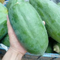 Guangxi Nanning now remove papaya fresh green papaya stew soup cool and mixed with box 5 catty