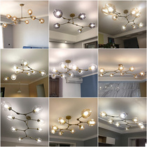 Nordic lamp living room lamp simple modern atmosphere branch molecular lamp creative personality bedroom restaurant magic bean chandelier