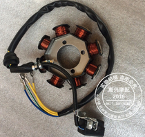 Earth Eagle King Street Fighting King Stator Magneto Coil DD125G3 DD150G-3DD150E-2F DC