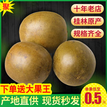 Luo Han Guo dried fruit tea Guangxi Guilin specialty bulk Super Yongfu small fruit under fire tea bag soaking water