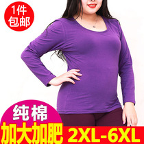 Cotton base shirt Womens Size Autumn Fat mm Fat Plus Plus 200 Jin Autumn Clothes Womens T-shirt Single Blanket Cotton Sweater