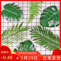 Simulated leaves green turtle backleaf leaf leaf false leaves Nordic kindergarten party decorated plastic plant
