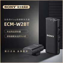 Sony Sony ECM-W2BT wireless microphone microphone bee live VLOG phone recording