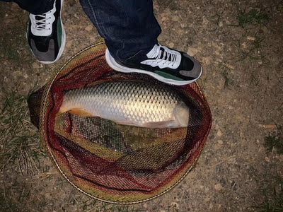 鱼竿很给力哦,五六斤左右能轻松起 鱼竿很给力哦,五六斤左右能轻松起