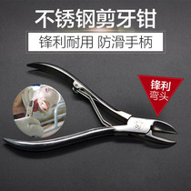 Stainless steel cutting pliers for pigs Large cutting pliers for rabbit piglets Cutting pliers for broken teeth pliers for pig farm pig equipment