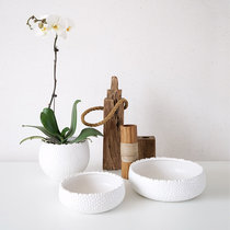 ladylike creative simple wave point ceramic flowerpot King simulation multi-meat orchid flower pot hydroponics home