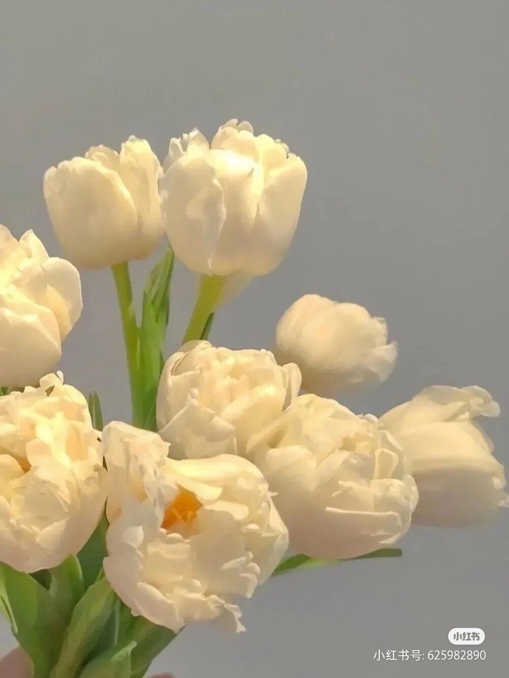 再说宝贝,正是我需要的,收到的时候包装完整,打开