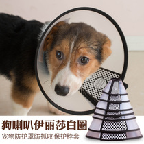 Elizabeth collar Cat dog collar dog hood cat collar pet protection hood biteproof collar pet supplies