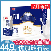 Guangming Youjia pure milk 200ml*12 boxes 24 boxes diamond boxes full boxes of pure milk student milk nutritious breakfast milk