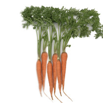 Fresh finger carrots 500g Mini radish Fruit Carrot salad Salad Ingredients Fresh vegetables