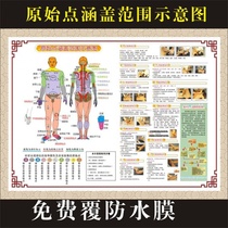 Tuina massage original point coverage schematic diagram Chinese poster human body Meridian acupoint map large Wall Chart