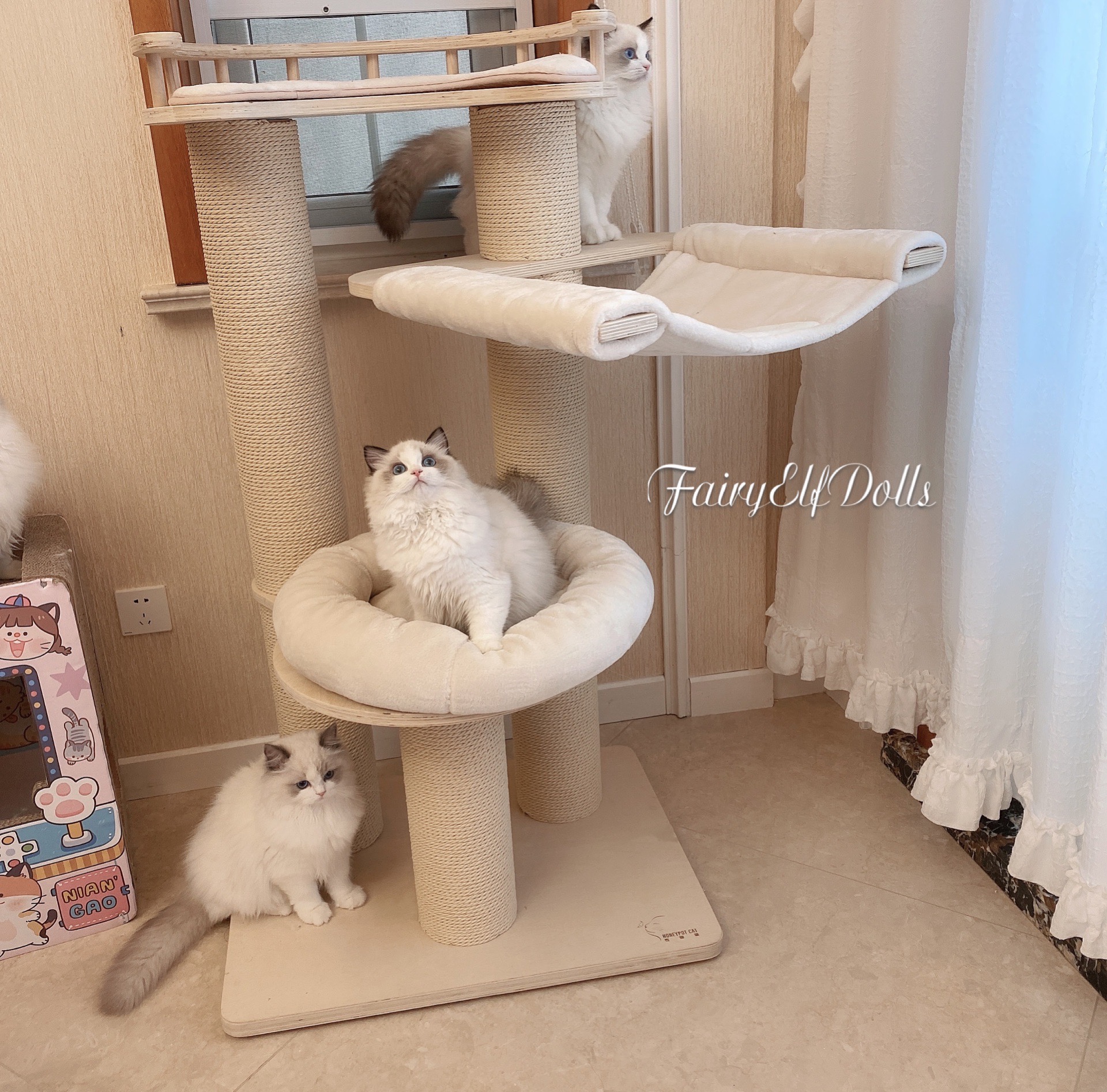 FairyElf｜ Cat - Taobao