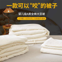 Class A imported raw cotton baby grade original ecological soybean antibacterial quilt core pure cotton thickened winter quilts by the spring and autumn