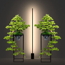 Modern Classical Greet Guests Pine floor Swing Piece TV Cabinet Creative Home Living Room Genguan Wine Cabinet Craftsmanship Accessories