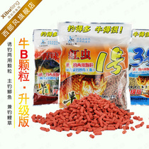 Western wind bait cattle B red worm earthworm fishy scent fishy fragrance particles fishing bait particles raw pond dens crucian carp material