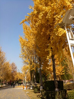 此用户没有填写评价。