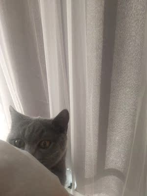 质量很好,买了一直还没试穿,打算夏天穿,应该会非常凉快,还比哈哈哈哈吃啊哈哈哈吃吧哈哈哈哈哈哈high哈唉哈比哈哈爱 质量很好,买了一直还没试穿,打算夏天穿,应该会非常凉快,还比哈哈哈哈吃啊哈哈哈吃吧哈哈哈哈哈哈high哈唉哈比哈哈爱