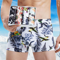 Summer Bingsi Underpants Men's Thin Relax and Big Yard Ping Pants Young Personality Pants Han Edition Four Corners