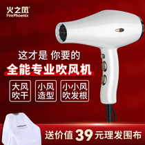 Fire Feng hair dryer static wind tube with high power negative ion speed in the hair salon of the hair stylist 6501 hair stylist special hair salon