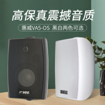 Hivi whiwei VA5-OS fixed resistance wall-mounted speaker surround stereo sound background music Wall Speaker
