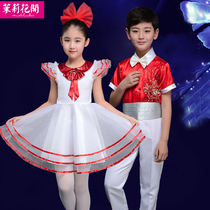 Princess dress New Years Day childrens performance costume primary school dance chorus performance girl dress puffy gauze dress