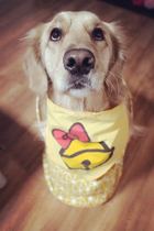 OliviaWear special link for postage and special link for buying snacks for Ollie