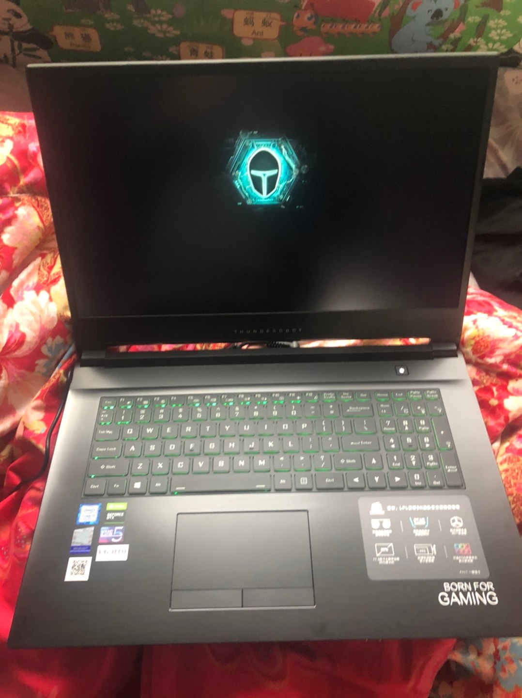 雷神911plus怎么样千万不要被忽悠了真相大揭秘