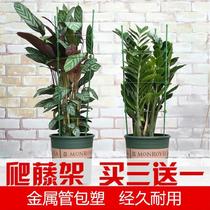 Flower holder with flowerpot climbing vine rose flower small indoor flower support rod shape holding tomato round